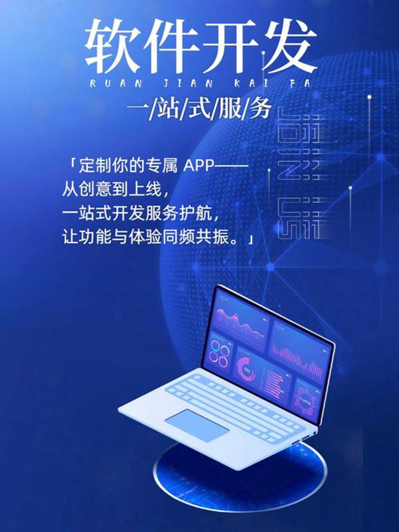 如何为企业量身打造高效的软件解决方案